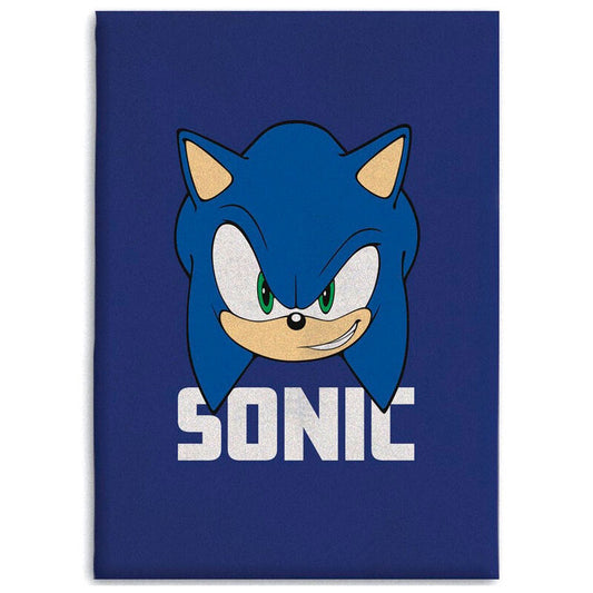 Sonic The Hedgehog Manta Polar