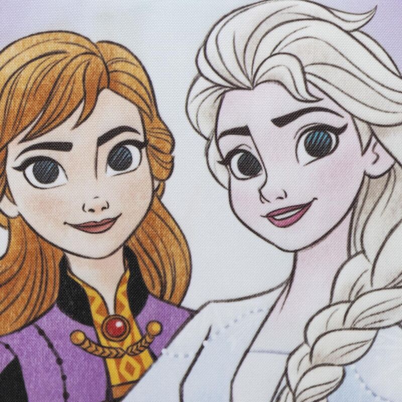 Disney Frozen Lancheira